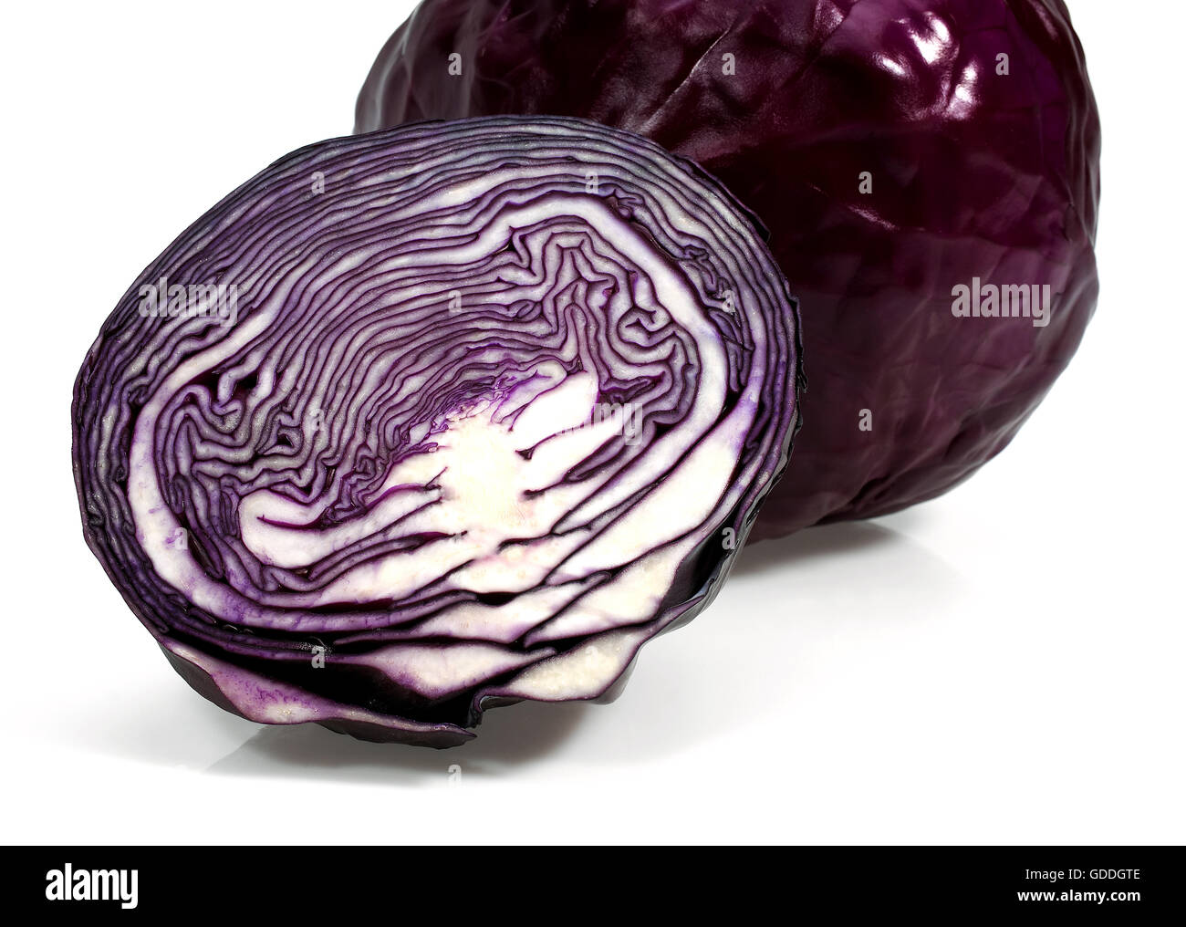 Chou rouge Brassica oleracea, légumes contre fond blanc Banque D'Images