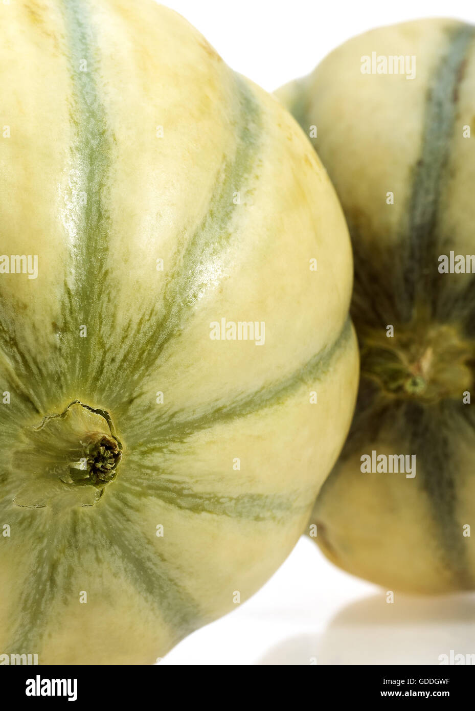 Melon de Cavaillon, cucumis melo, fruits contre fond blanc Banque D'Images