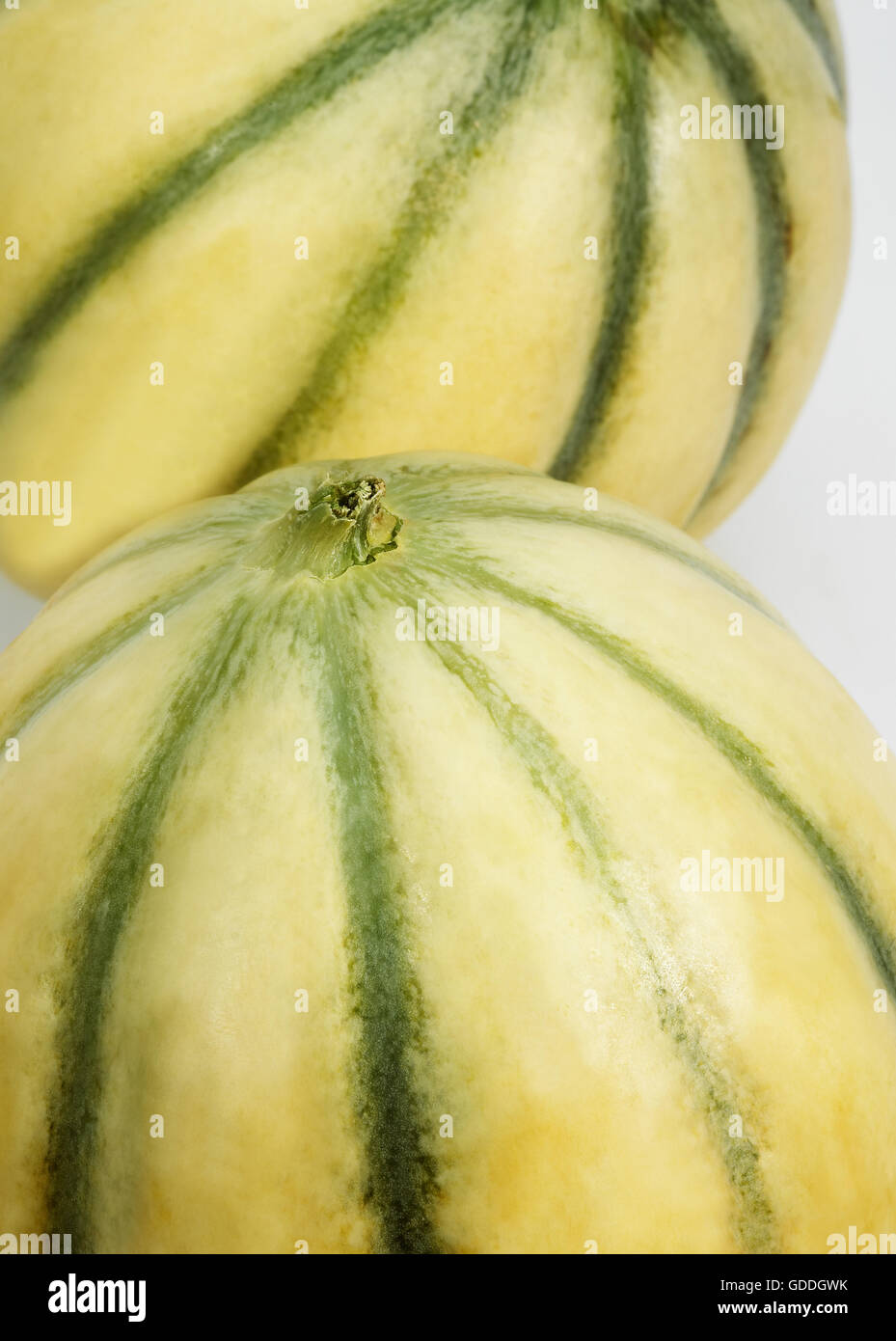 Melon de Cavaillon, cucumis melo, fruits sur fond blanc Banque D'Images