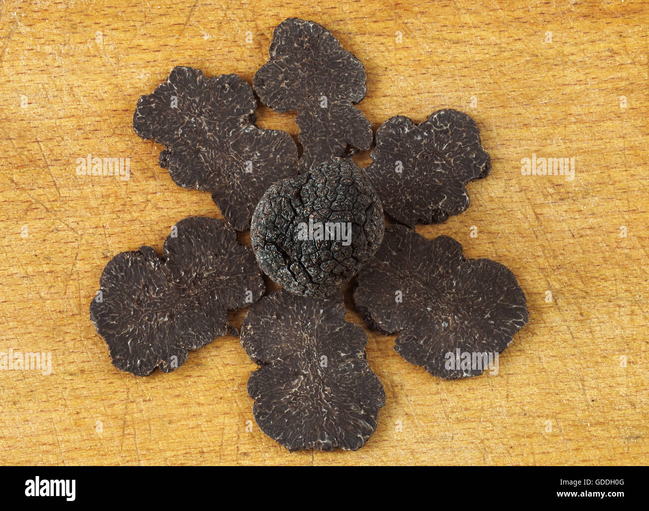 La truffe du Périgord tuber melanosporum, champignons, coupés en tranches Banque D'Images