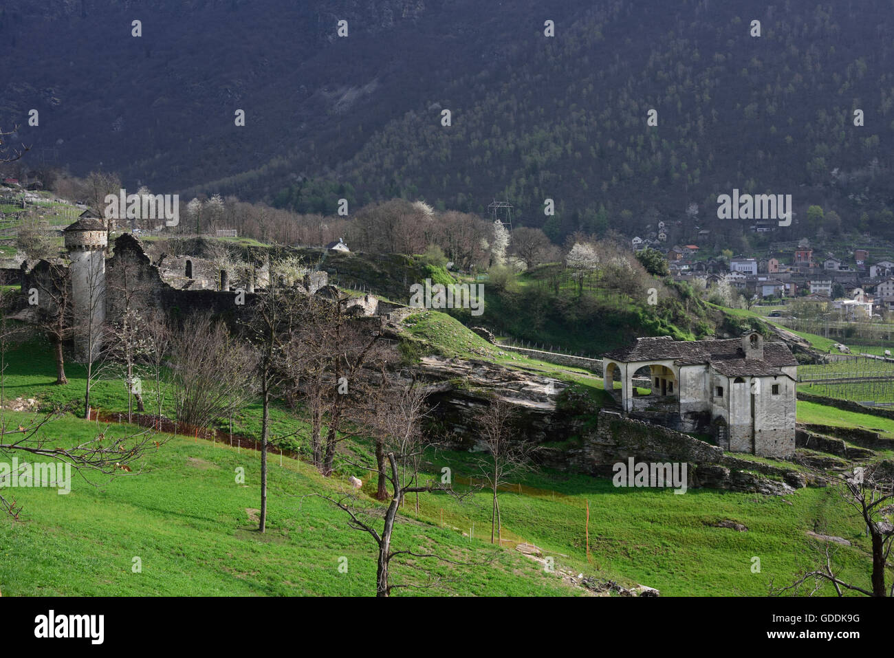 Château di Serrvalle,château,la ruine, Banque D'Images