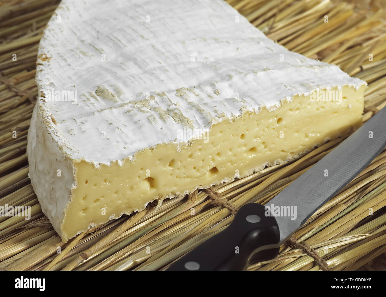 Brie de Meaux, fromage fait avec du lait de vache Banque D'Images