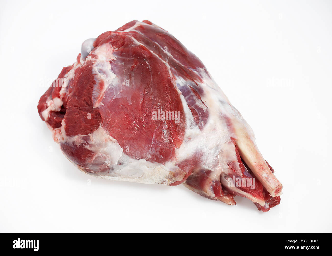 Le gigot d'agneau contre fond blanc Banque D'Images