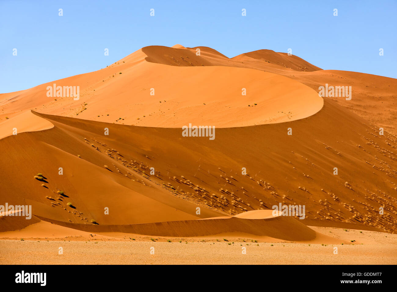 Le Namib-NAUKLUFT PARK, Désert du Namib, NAMIBIE DUNES DANS SOSSULSVLEI Banque D'Images
