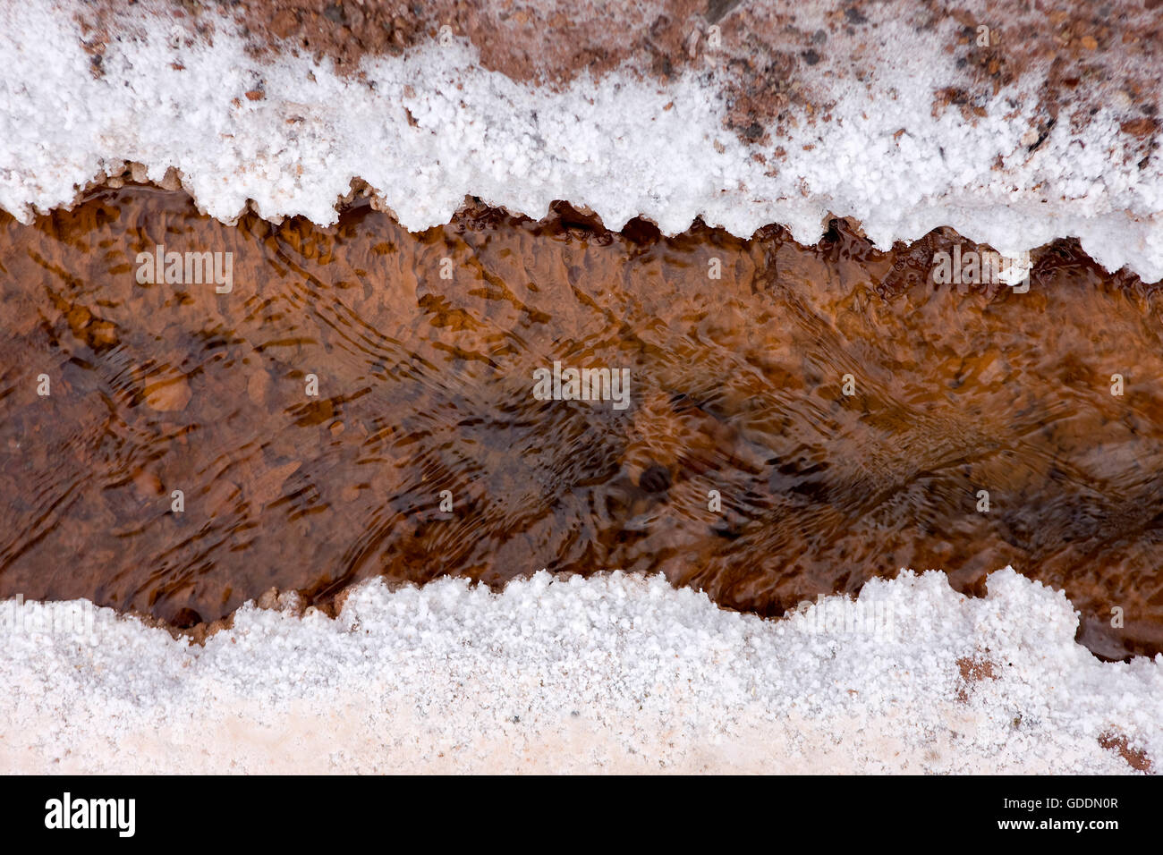 Mines de sel de Maras, d'eau et de sel, Salinas près de Tarabamba au Pérou Banque D'Images