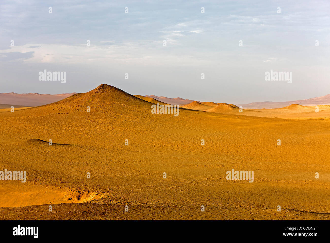 Paysage dans le Parc National de Paracas, Pérou Banque D'Images
