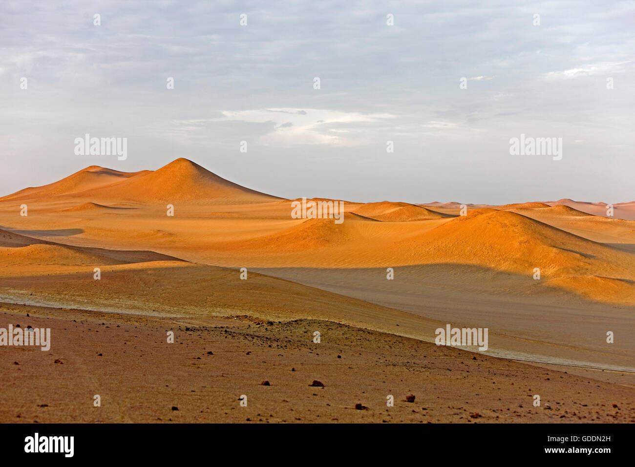 Paysage dans le Parc National de Paracas, Pérou Banque D'Images
