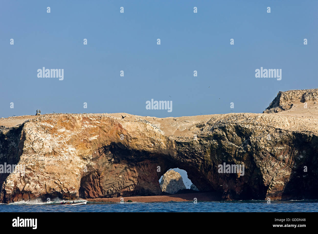 Iles Ballestas À PARACAS NATIONAL PARK, PÉROU Banque D'Images