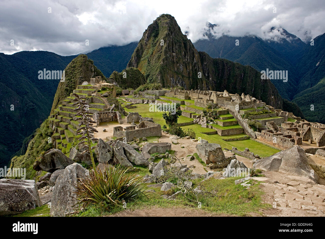 Le Machu Picchu, la ville perdue des Incas, Cordillère des Andes au Pérou Banque D'Images
