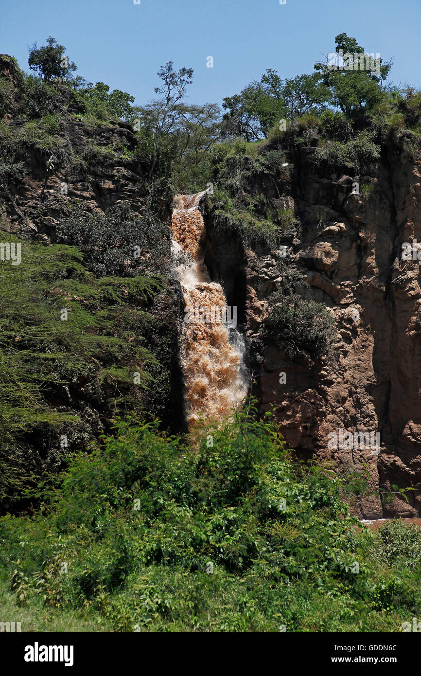 Vue de la rivière Cascade, se déversent dans le lac, Makalia Cascade, le lac Nakuru N.P., la Grande Vallée du Rift, au Kenya Banque D'Images