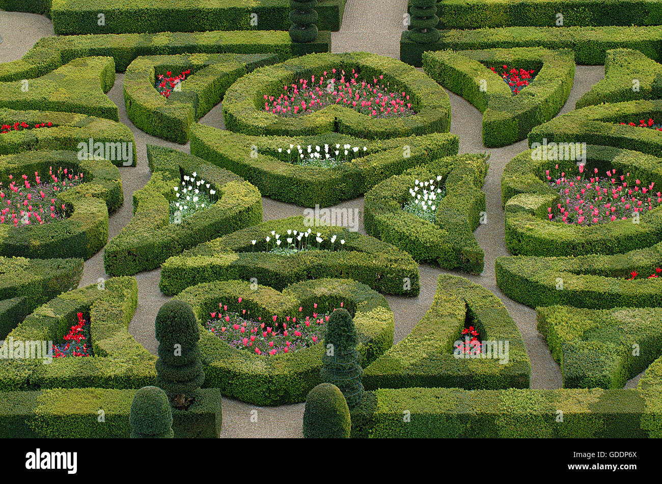 Ou le jardin du château de Villandry, vallée de l'Indre en France Banque D'Images