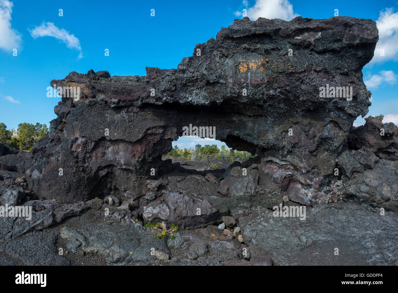 USA,Europa,,Hawaii, Big Island, Volcanoes National Park,UNESCO du patrimoine mondial,le long de la chaîne de passage de lave Banque D'Images