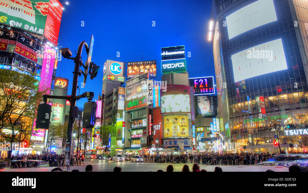 Tokyo,Japon,Asia,Shibuya,ville,ville,neon light,carrefour,publicité,couleurs,nuit,Center,la publicité, Banque D'Images