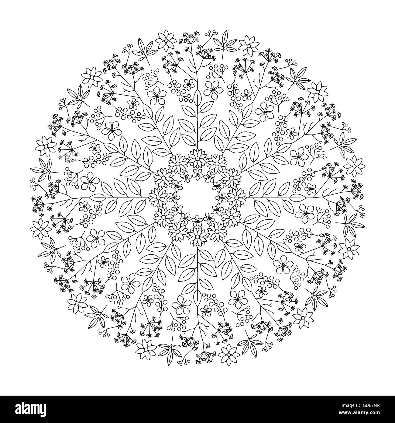 Mandala herbes avec des feuilles, fleurs et plantes, coloriage adultes Illustration de Vecteur