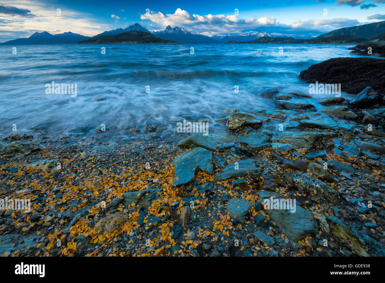 L'Amérique du sud Terre de Feu,Argentine,Ushuaia, Tierra del Fuego,National Park,Canal de Beagle Banque D'Images