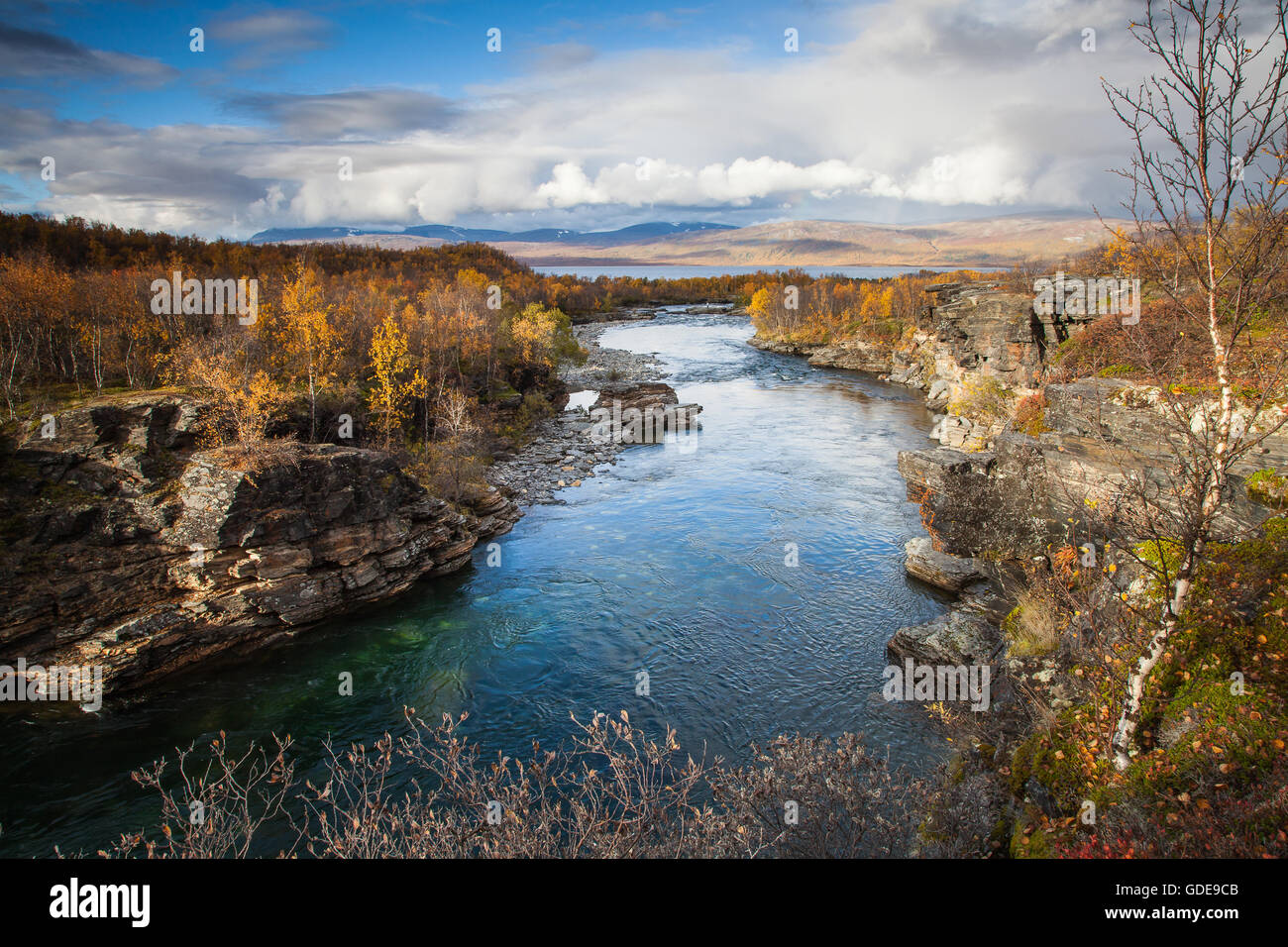 Abisko National Park,,Abiskojokka,canyon,europe,rivière, débit, Automne, couleurs de l'automne,scenery,paysage,Laponie,suédois,Scan Banque D'Images
