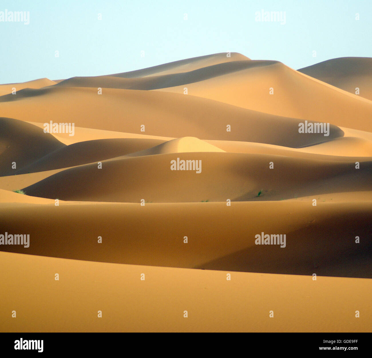 Maroc,desert sand dunes,,,sun,ombre,,dunes dunes de sable,Sahara,Hamada Mansour Banque D'Images