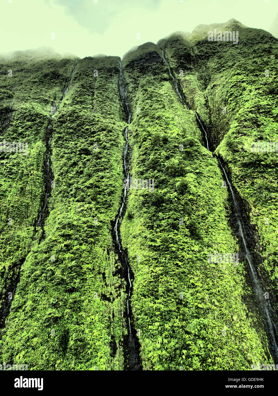 Kauai, Hawaii,Na Pali, jungle, forêt de pluie,pluie,eau,paysage,vert,paysage,rock,falaise,antenne, Banque D'Images