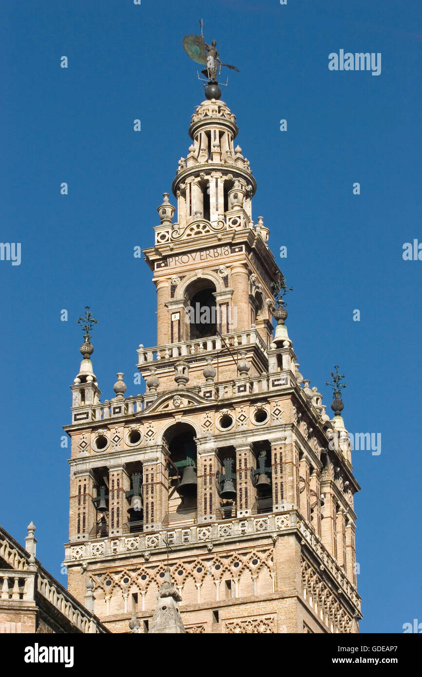 La Tour Giralda. Sevilla. L'Andalousie. L'Espagne. Banque D'Images