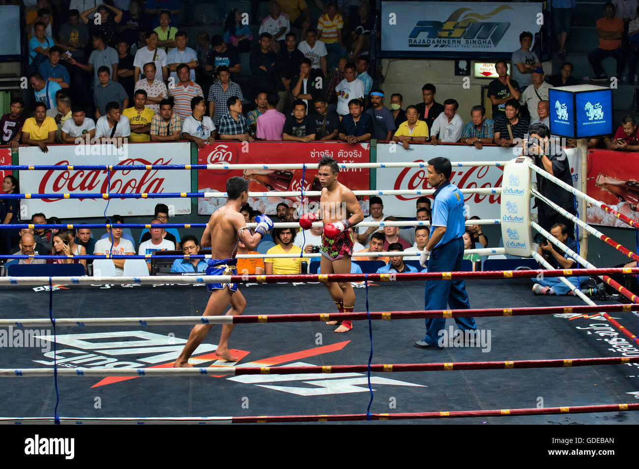 La boxe thaï, Bangkok, Thaïlande. Banque D'Images