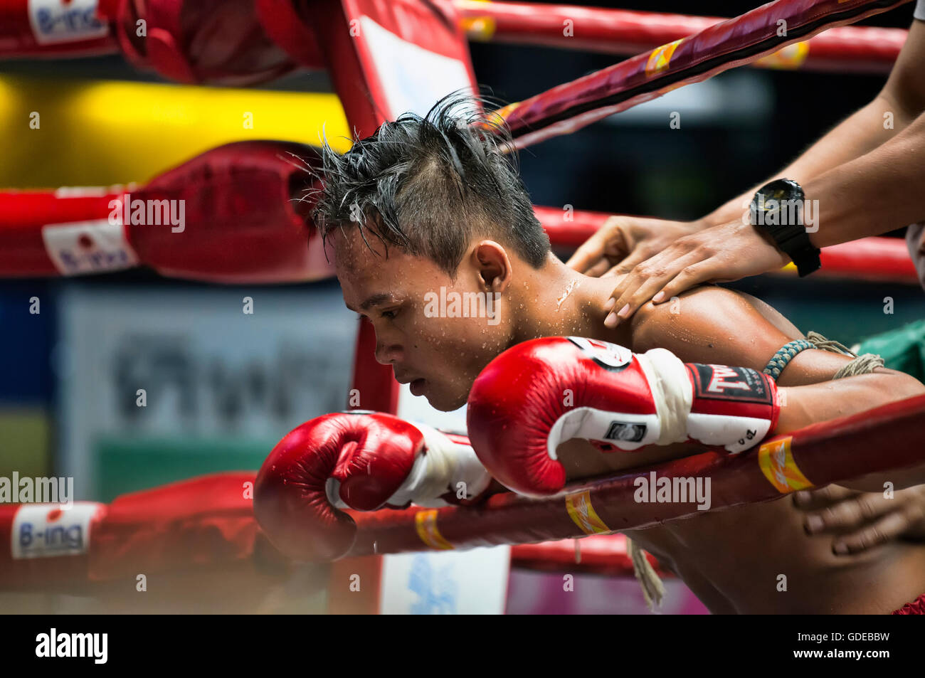 La boxe thaï, Bangkok, Thaïlande. Banque D'Images