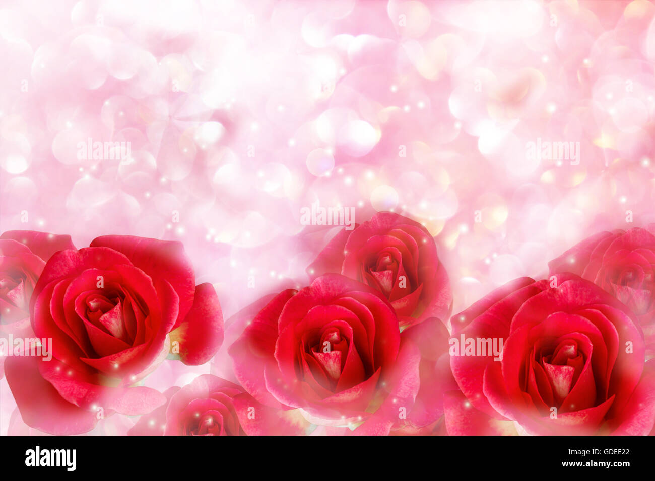 Roses rouges dans wonderful romantic soft pastel Pink pearl avec bokeh pour valentine Banque D'Images