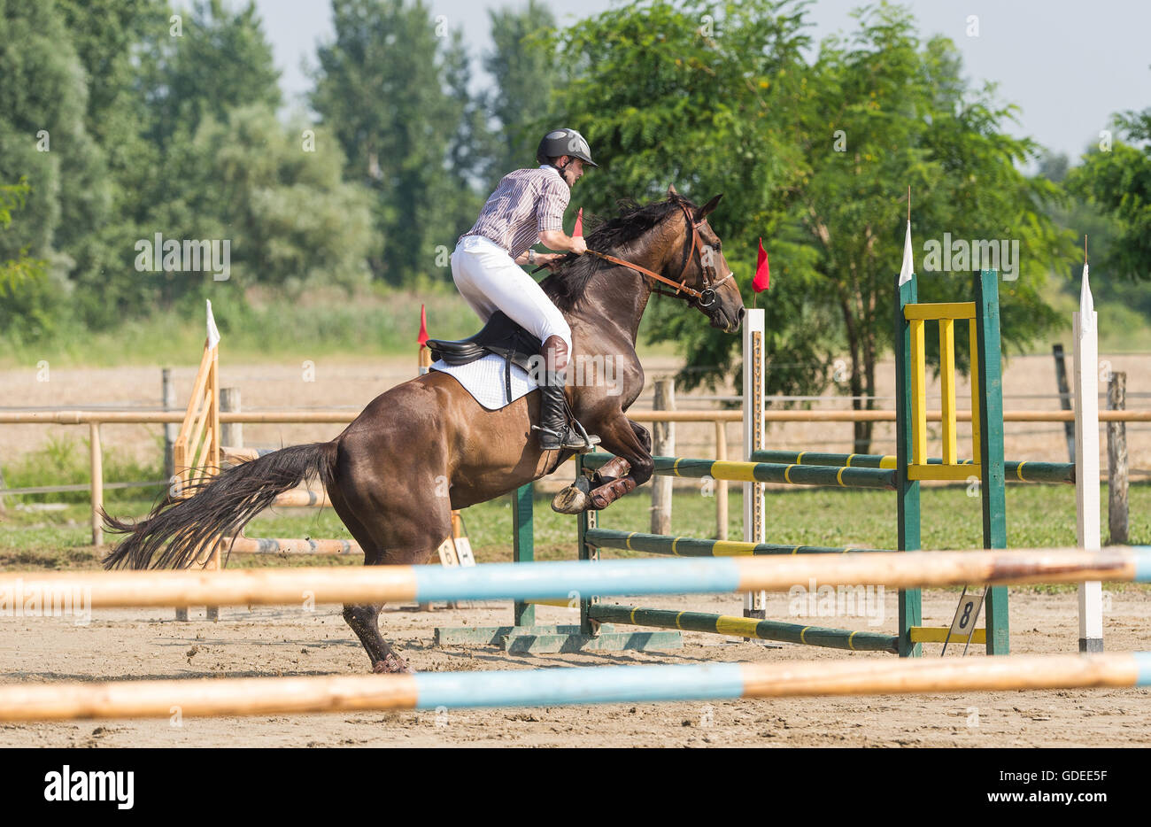 Young man riding a horse Banque D'Images