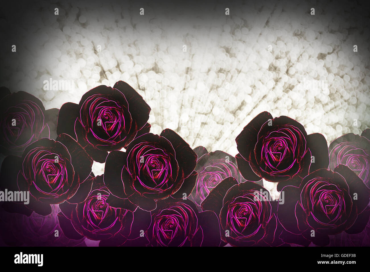 Groupe de fantaisie rose et violet motif roses purle glow light silver line sur bokeh background style brillant Banque D'Images