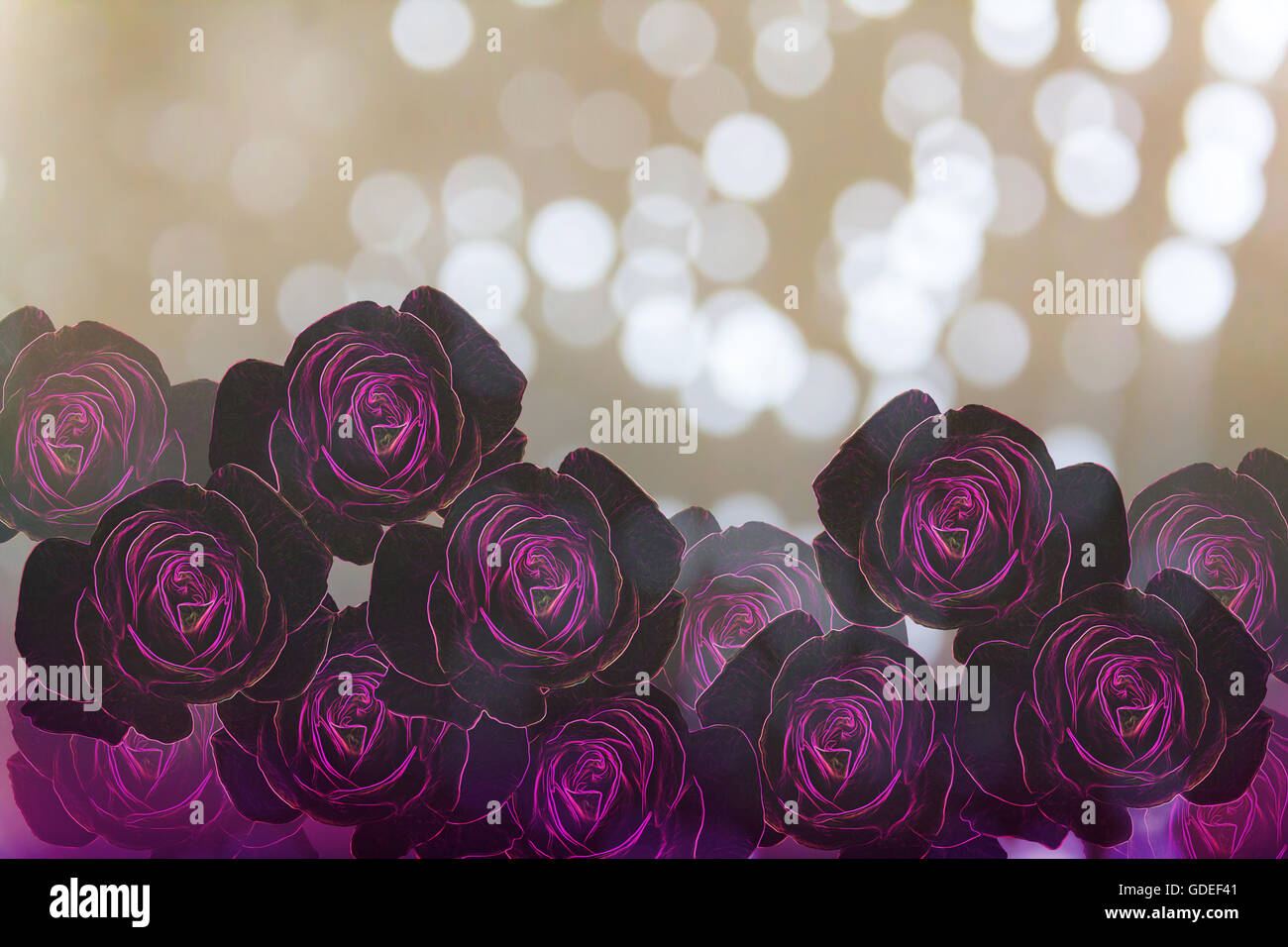 Groupe de fantaisie rose et violet motif roses purle glow light ligne arragement sur fond crème classique waterdrop Banque D'Images