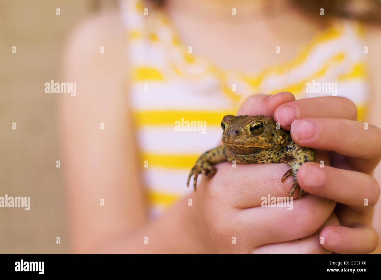 Girl holding une grenouille Banque D'Images