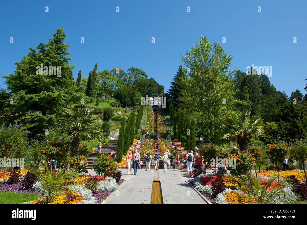 Île de Mainau, sur le lac de Constance, Bade-Wurtemberg, Allemagne Banque D'Images Île de Mainau, sur le lac de Constance, Bade-Wurtemberg, Allemagne Banque D'Images