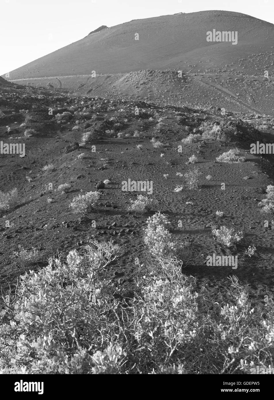 Paysage volcanique à La Palma. Îles Canaries. L'Espagne. La verticale Banque D'Images Paysage volcanique à La Palma. Îles Canaries. L'Espagne. La verticale Banque D'Images