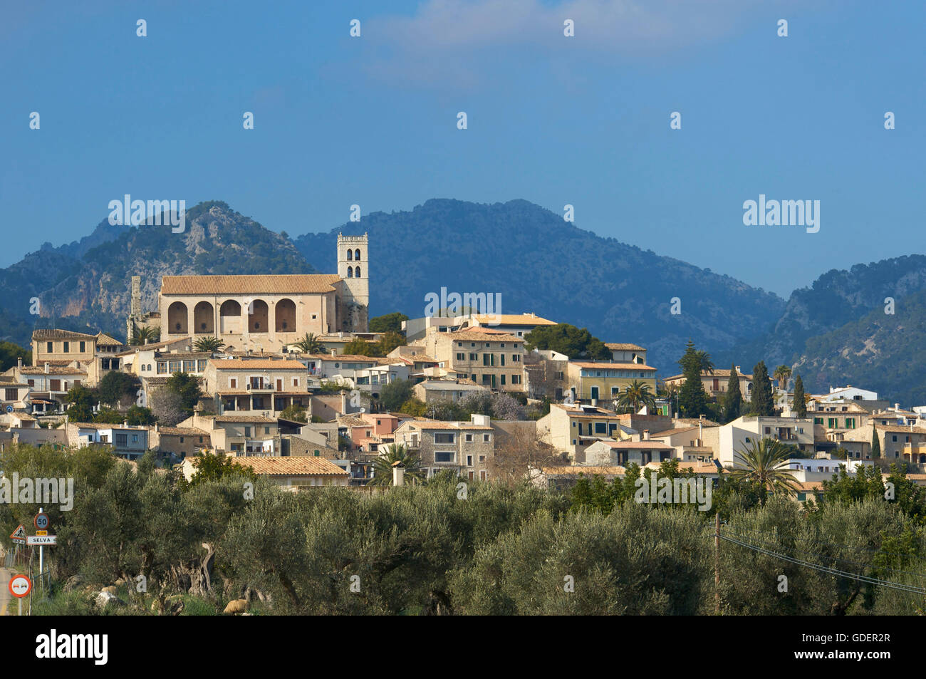Tramuntana, Selva, Majorque, Îles Baléares, Espagne Banque D'Images