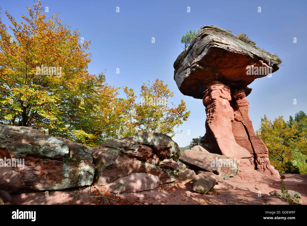 Monument Nature Teufelstisch, Forêt du Palatinat, Rhénanie-Palatinat, Allemagne / Pfälzer Wald, devil's table Banque D'Images