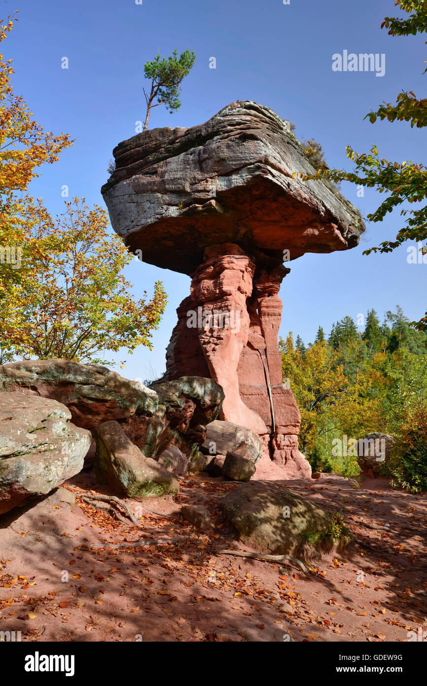 Monument Nature Teufelstisch, Forêt du Palatinat, Rhénanie-Palatinat, Allemagne / Pfälzer Wald, devil's table Banque D'Images