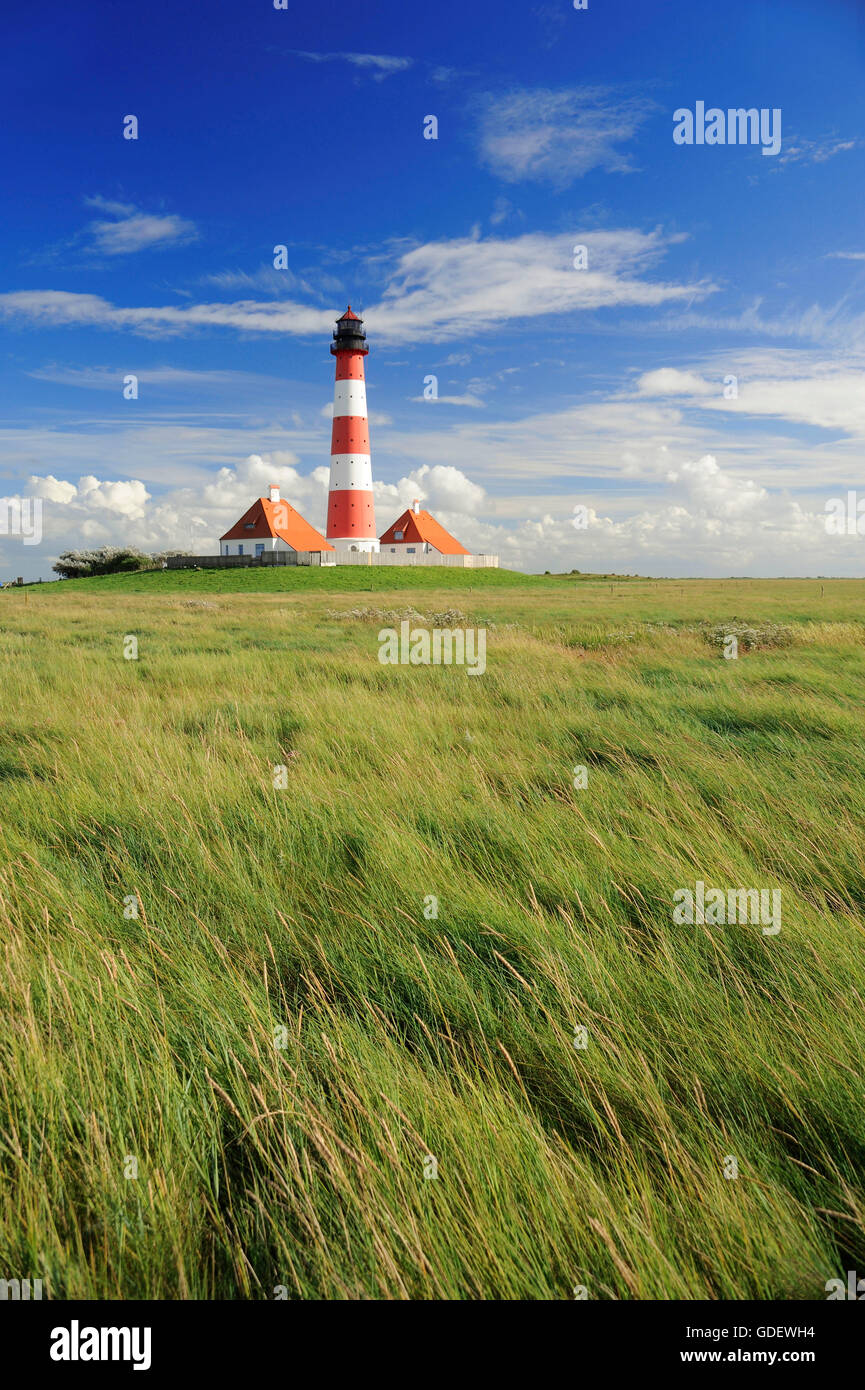 Leuchtturm Westerheversand, Schleswig-Holstein mer des Wadden Parc National, Büsum, péninsule Eiderstedt, Frise du Nord, Schleswig-Holstein, Allemagne Banque D'Images