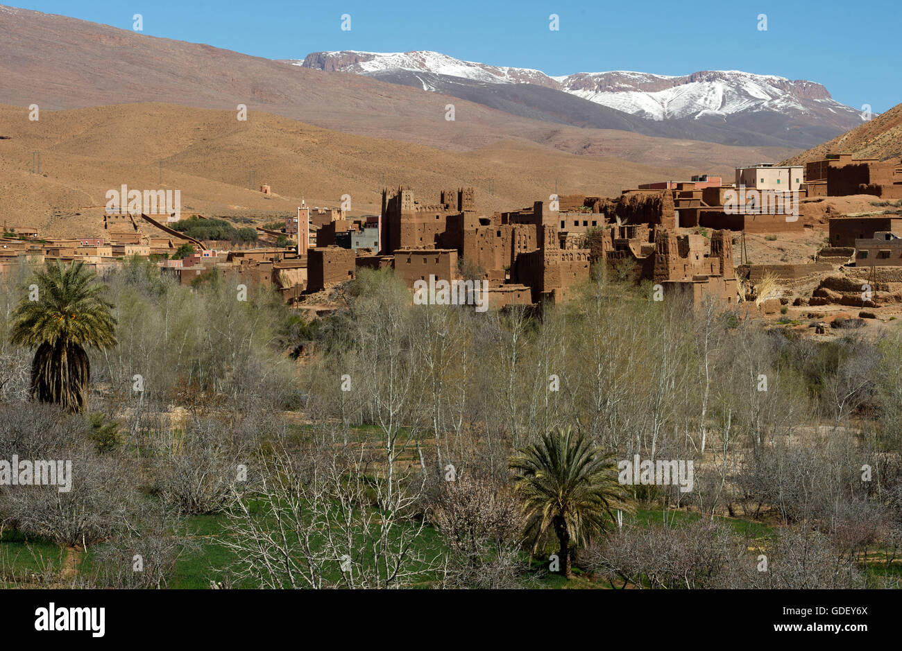 Maroc, Afrique, vallée du Dadès, la vallée de la montagne du Haut Atlas, Kasbah, ait Arbi Banque D'Images