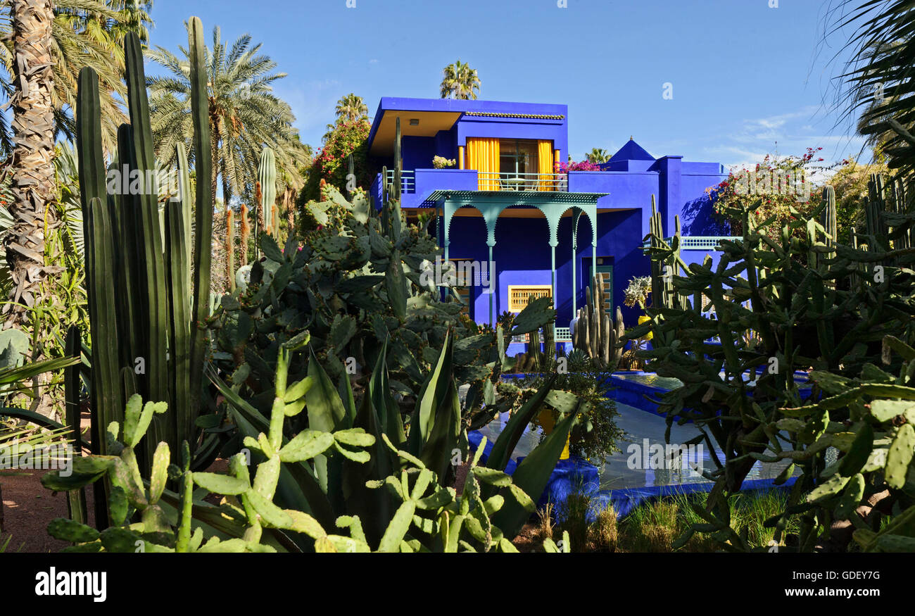 Maroc, Afrique, du jardin botanique Jardin Majorelle, Marrakech Banque D'Images