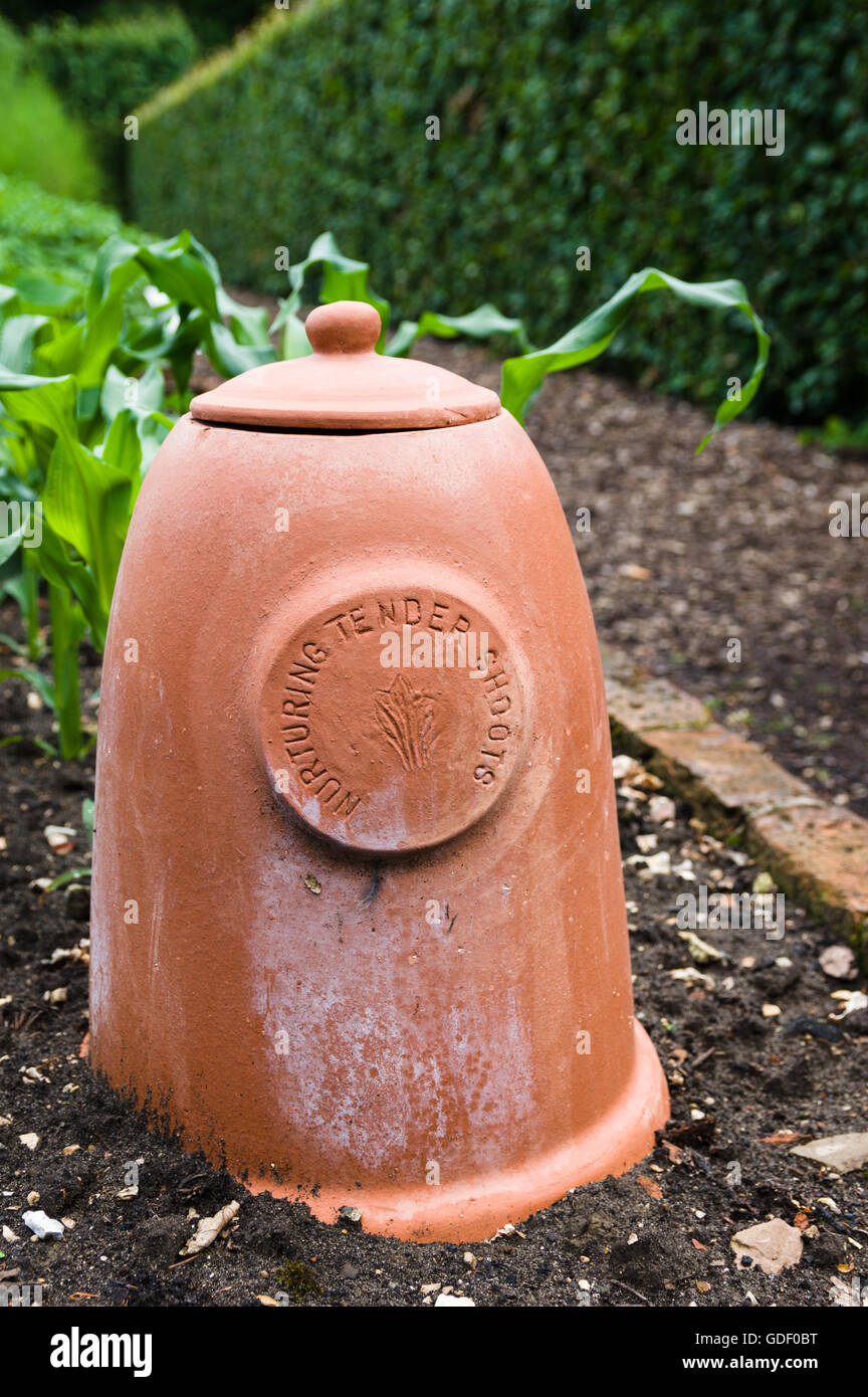 Forceur de rhubarbe en forme de cloche sont des pots avec un couvercle couverts ouverture au sommet. Banque D'Images
