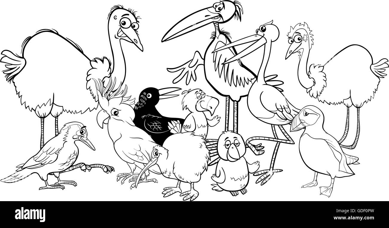 Cartoon noir et blanc Illustration de divers caractères animaux oiseaux à colorier de groupe Illustration de Vecteur