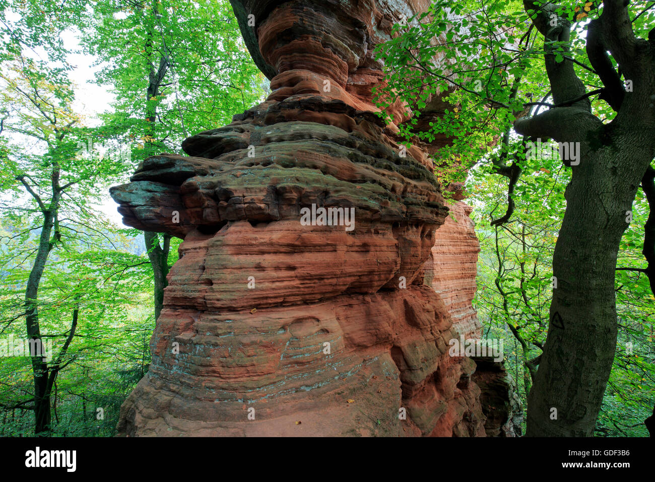 Monument naturel, l'Altschlossfelsen, Eppenbrunn, Rhénanie-Palatinat, Allemagne Banque D'Images