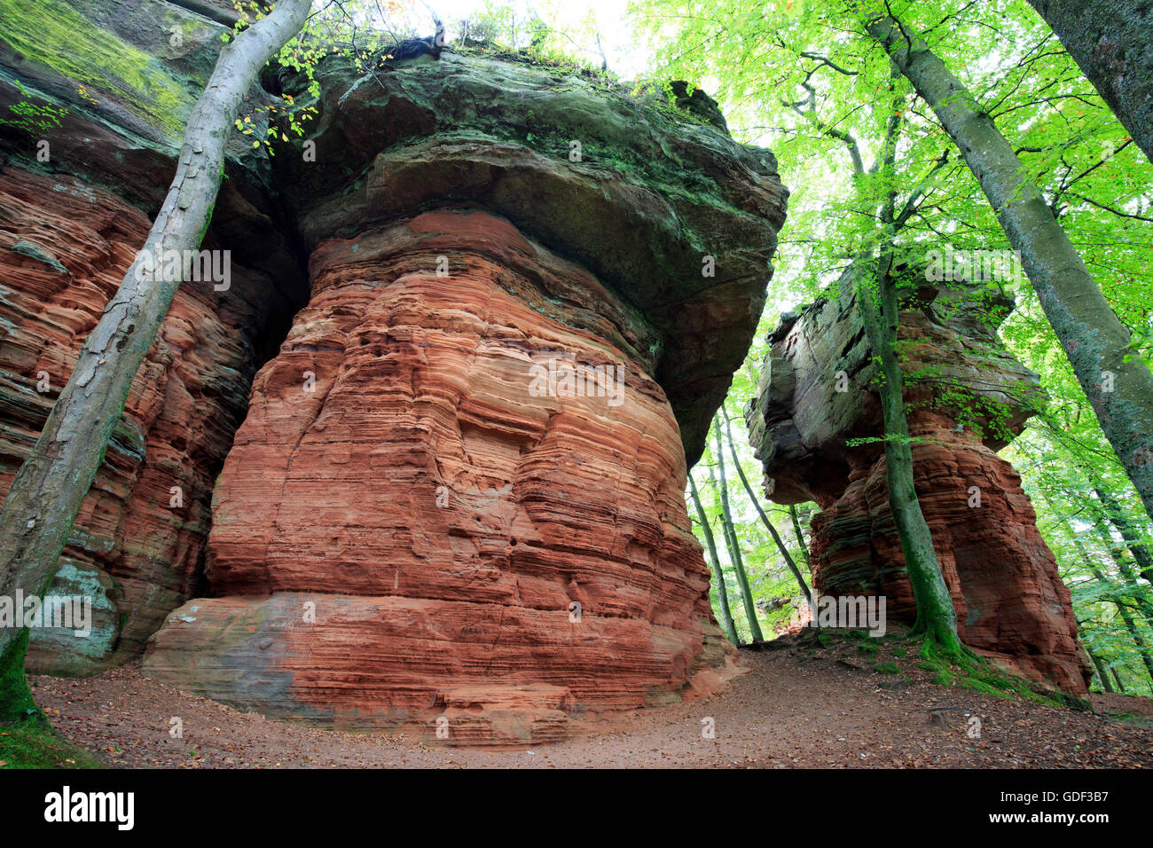 Monument naturel, l'Altschlossfelsen, Eppenbrunn, Rhénanie-Palatinat, Allemagne Banque D'Images