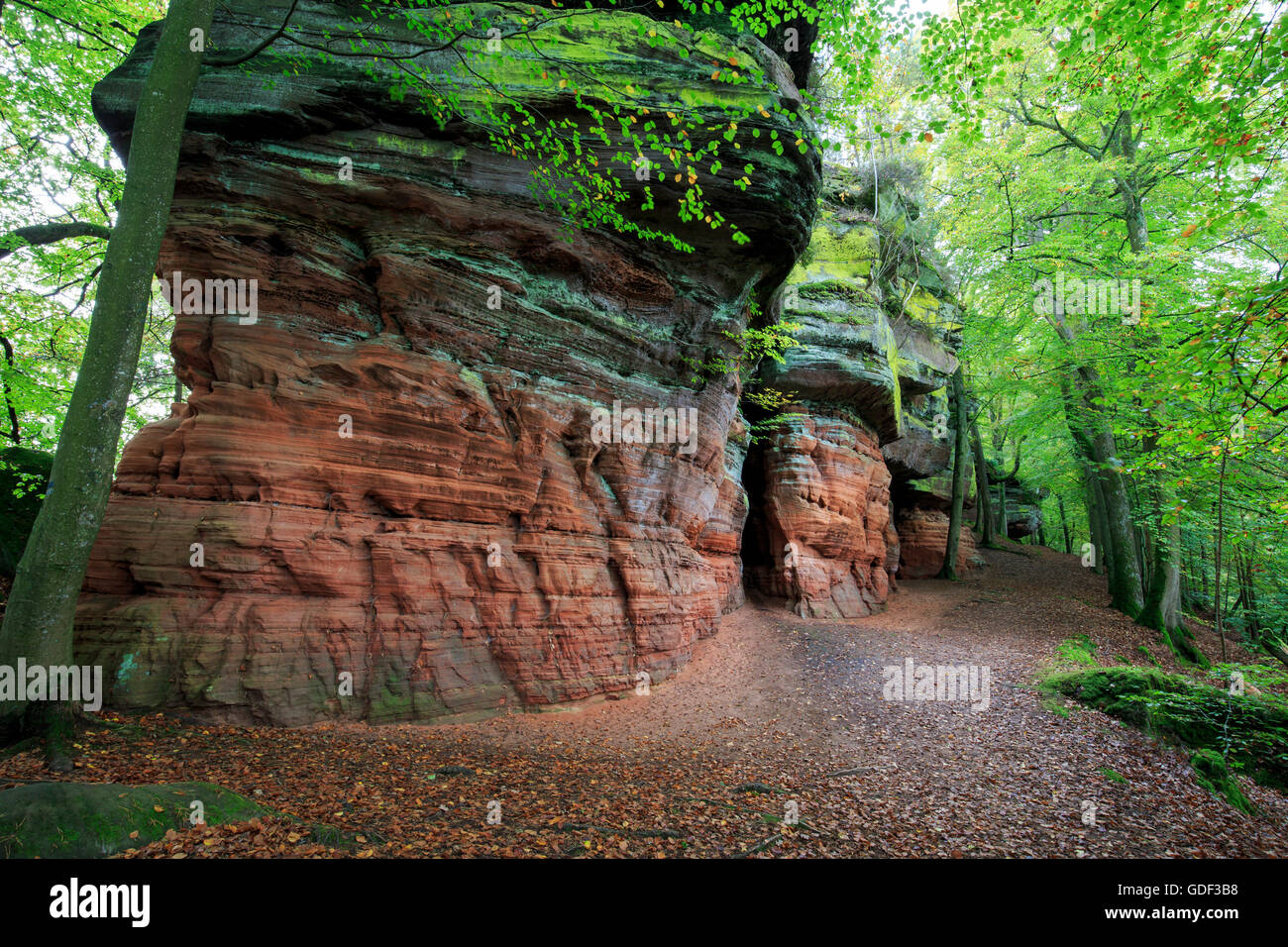 Monument naturel, l'Altschlossfelsen, Eppenbrunn, Rhénanie-Palatinat, Allemagne Banque D'Images