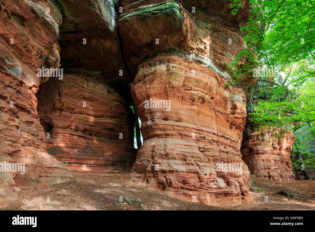 Monument naturel, l'Altschlossfelsen, Eppenbrunn, Rhénanie-Palatinat, Allemagne Banque D'Images