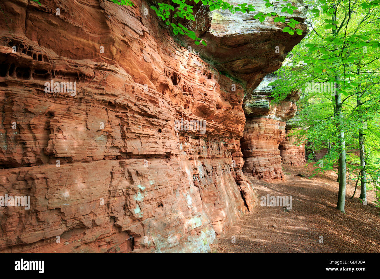 Monument naturel, l'Altschlossfelsen, Eppenbrunn, Rhénanie-Palatinat, Allemagne Banque D'Images
