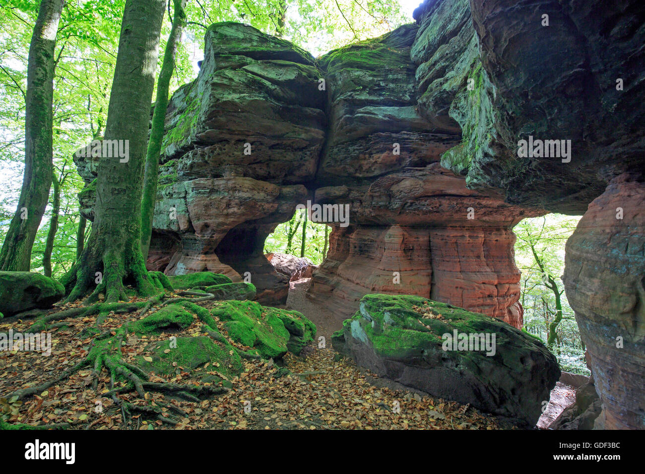 Monument naturel, l'Altschlossfelsen, Eppenbrunn, Rhénanie-Palatinat, Allemagne Banque D'Images