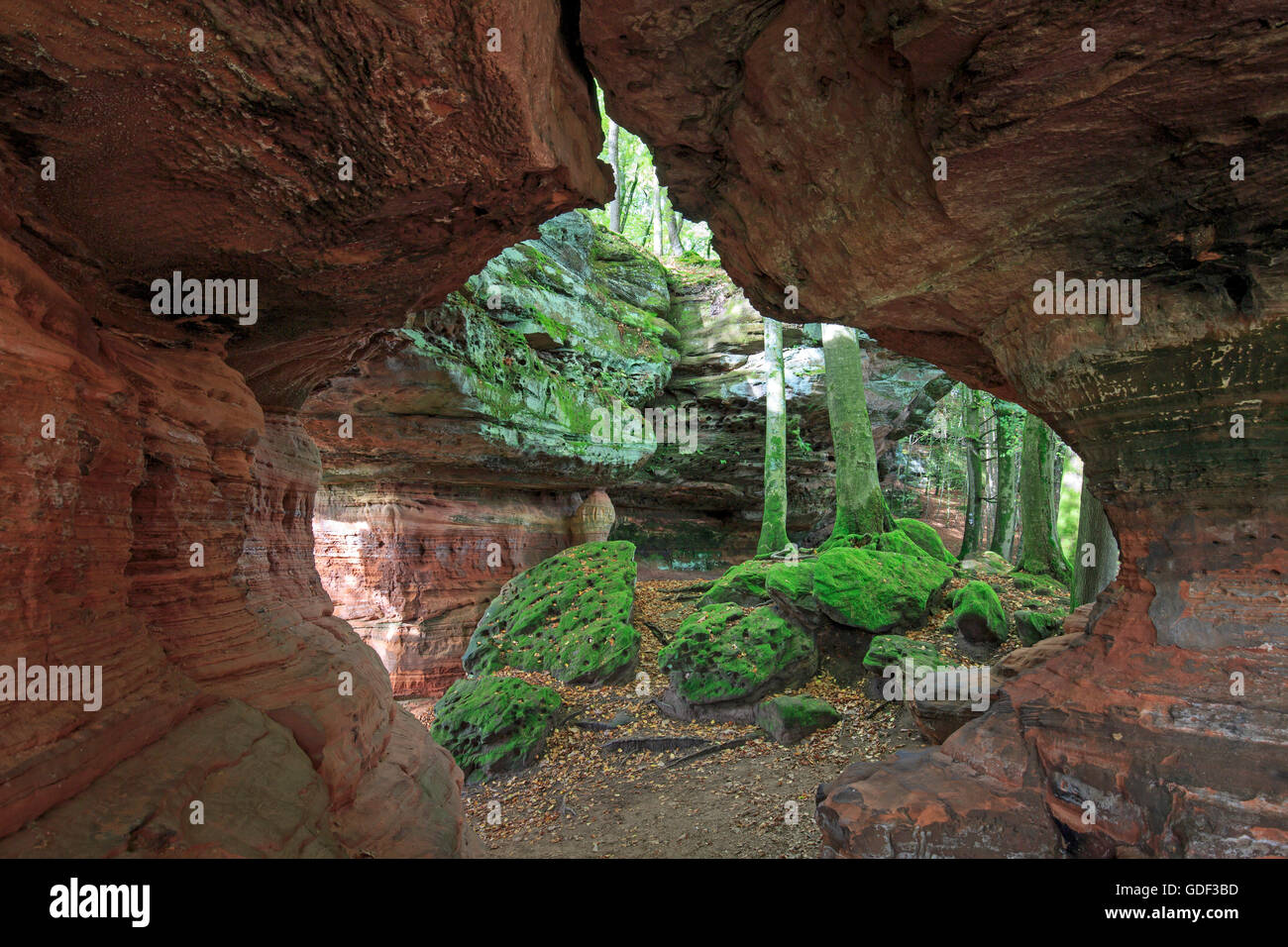 Monument naturel, l'Altschlossfelsen, Eppenbrunn, Rhénanie-Palatinat, Allemagne Banque D'Images
