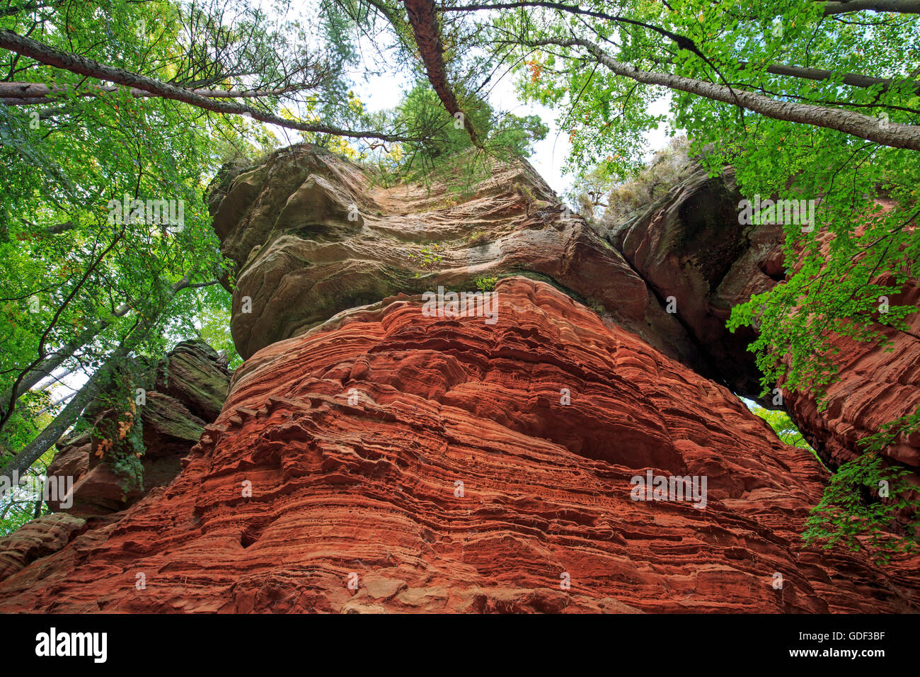 Monument naturel, l'Altschlossfelsen, Eppenbrunn, Rhénanie-Palatinat, Allemagne Banque D'Images