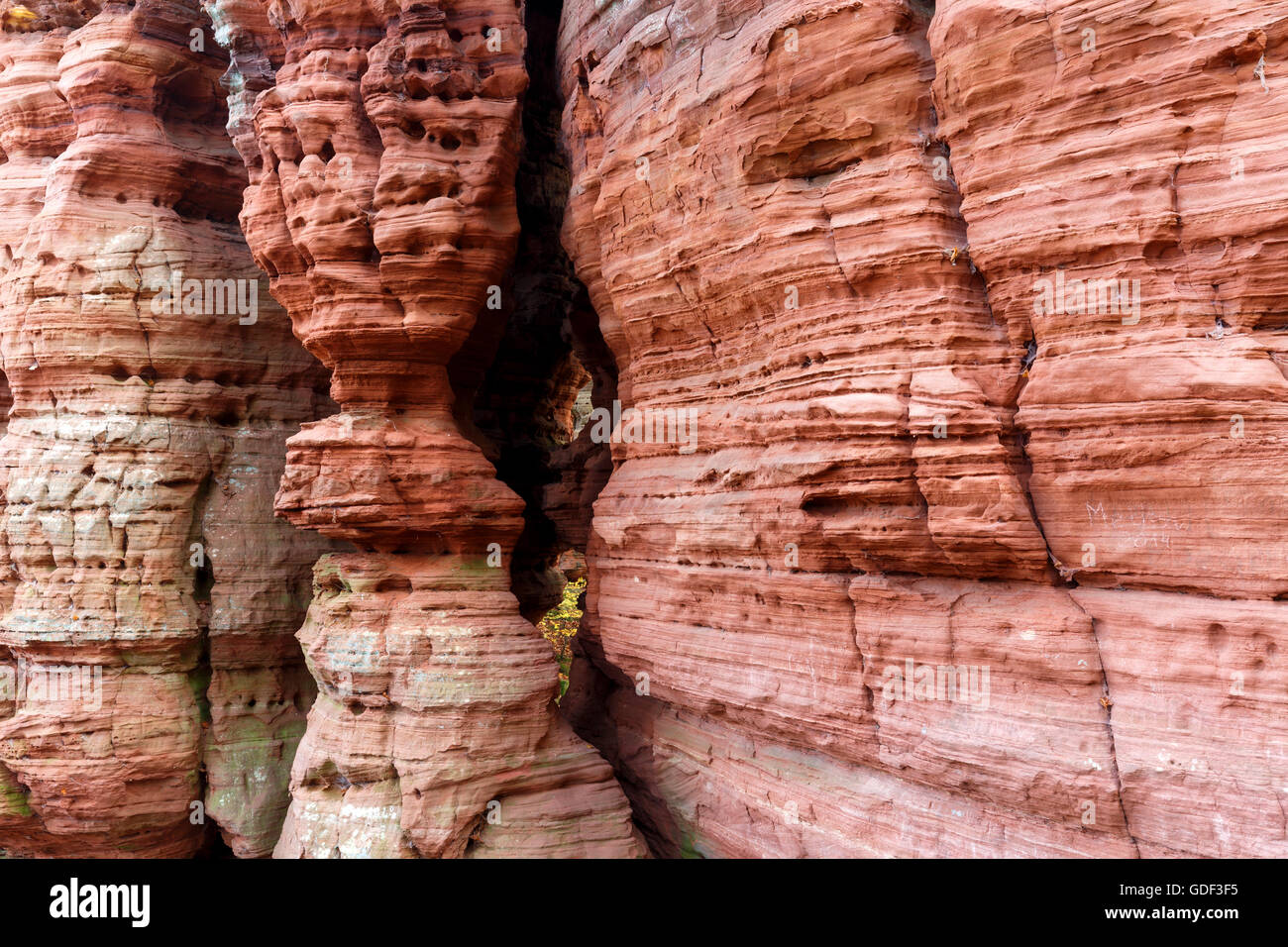 Monument naturel, l'automne, Altschlossfelsen, Eppenbrunn, Rhénanie-Palatinat, Allemagne Banque D'Images