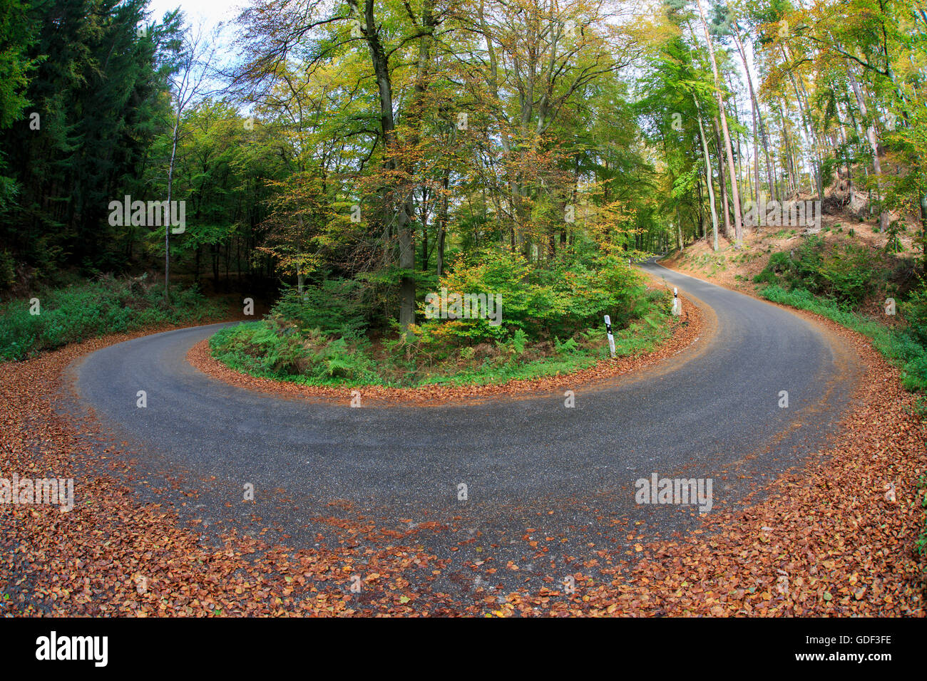 Bend Road, près de Eppenbrunn, Rhénanie-Palatinat, Allemagne Banque D'Images
